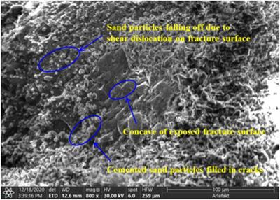 Shear performance and reinforcement mechanism of MICP-treated single fractured sandstone